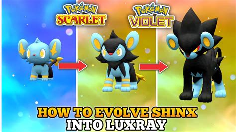 what level does luxio evolve at